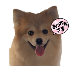 aoi_20230530215847