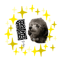 Nao_20230530233610