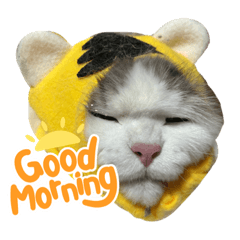 tom_20230530222631