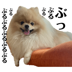 kiiiiiiiiiiikiiiiiii