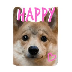 DRAGON FLY_20230530223553