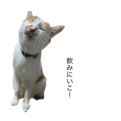 arisa_20230530230643