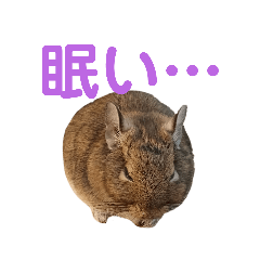 nao_20230530185707