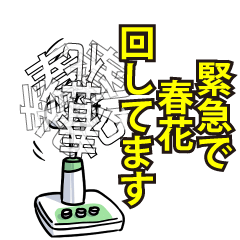 RESPECTemerald_s_0726