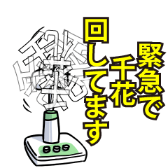 RESPECTemerald_s_0725