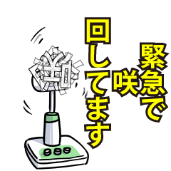 RESPECTemerald_s_0728