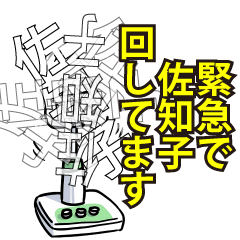 RESPECTemerald_s_0732