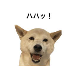 hana_20230531123749