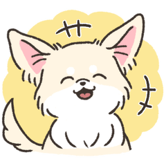 Cute chihuahuas sticker revised version