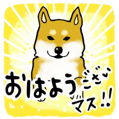 a greeting of Japanese Shiba Inu