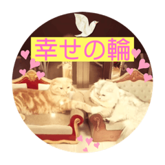 Victoria Wonder_20230530201450