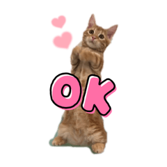 potesuke_20230530221842