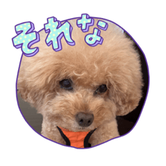 ramucho_20230531095821