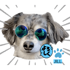 HANA_20230531140856