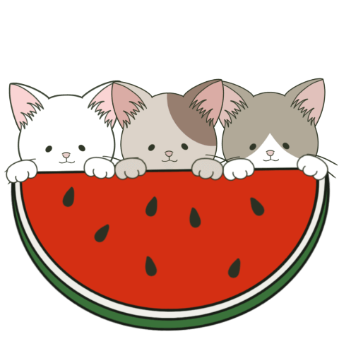 3kittens pop up sticker 03