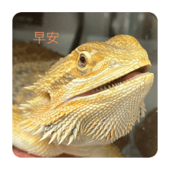 樂樂的生活照