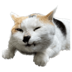 murakamisan_20230531184332