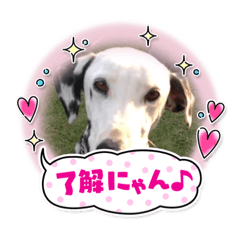 hana_20230531235957