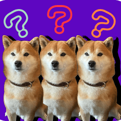 Shiba Inu John Sticker