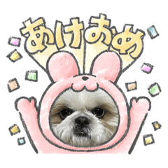 yuka_20230531205750