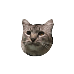 so_20230531223220