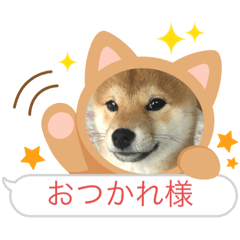 hana_20230531211048