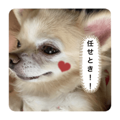 tonton_20230531230405