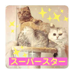 Victoria Wonder_20230531215352