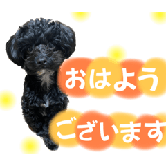 nao_20230601004059