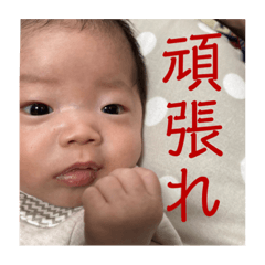 sakisakiko_20230601132445