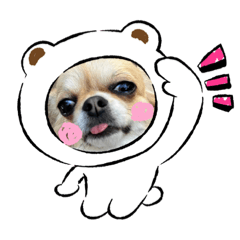 Kuu_20230601130147
