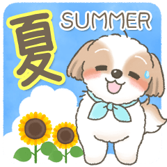 Cute Shih Tzu summer message Sticker