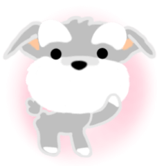 fluffy moving soothing schnauzer dog