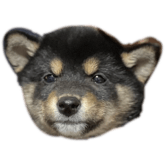 kana_20230601173544