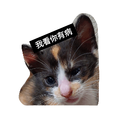 蚵仔麵線表情包