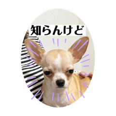 taru_20230602000026