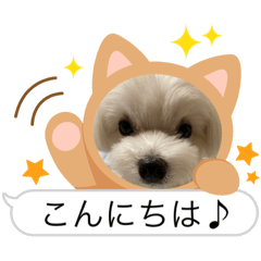 Nozomi_20230601200834