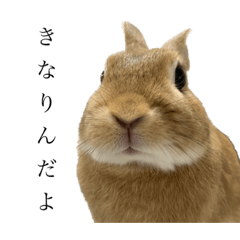 kinaco_20230601183916