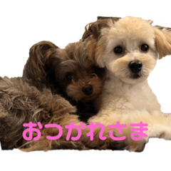 yuka_20230601204313