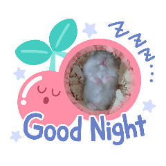 小灰哭哭小山豬(っ ॑꒳ ॑c)