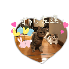 yki.momo