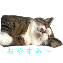 Hana_20230531210442