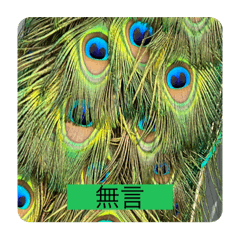 林設計師作品集002