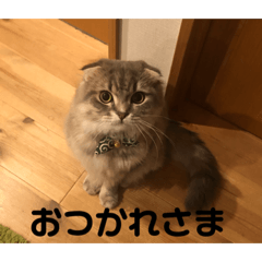 OMOCHI_20230601210022