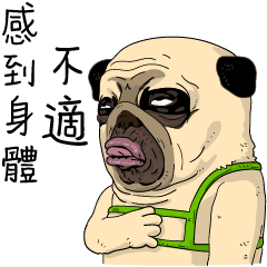 Mao Whatta Pug: Bipolar Big Stickers