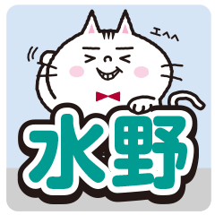 Mizuno's sticker.