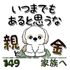 Shih Tzu 149 (from parent to child)