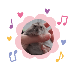 小黑✌︎( ᐛ )✌︎