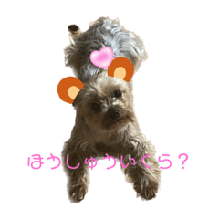 I know I am cute!