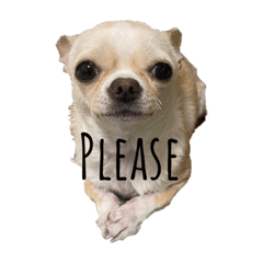 Tonttu_20230602162740